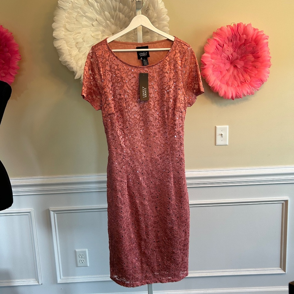 NWT Lovely Grace Lace and Sequin Dress Size L